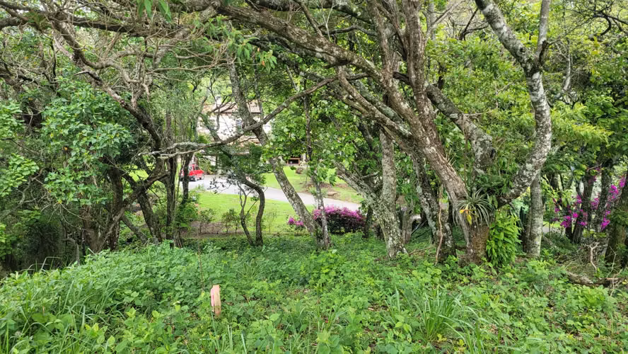 Venta de lote en Piedades de Santa Ana!