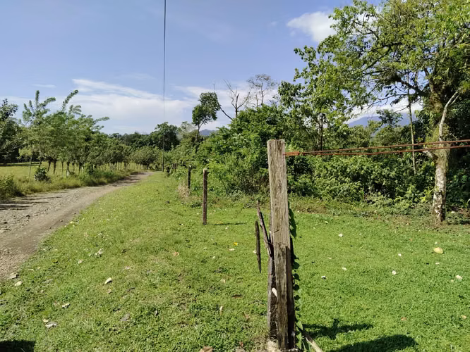 3.2 Hectáreas de Pura Vida – Terreno con Río Cristalino   - Imagen 16