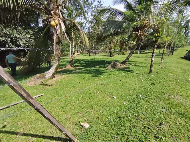 3.2 Hectáreas de Pura Vida – Terreno con Río Cristalino   - Imagen 17