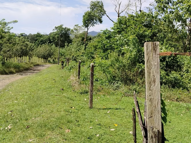 3.2 Hectáreas de Pura Vida – Terreno con Río Cristalino   - Imagen 15