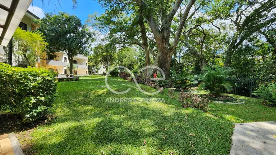 AE ARQUITECTURA | APARTAMENTO AVALON SANTA ANA AE 1237