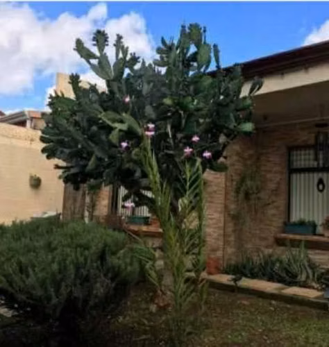 Casa de una planta en Residencial Ayarco Sur – Curridabat - Imagen 3