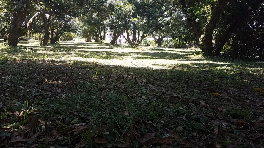 Finca plana - 18.223 m² - Miramar, Puntarenas (todos los servicios)