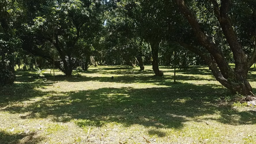 Finca plana - 18.223 m² - Miramar, Puntarenas (todos los servicios)