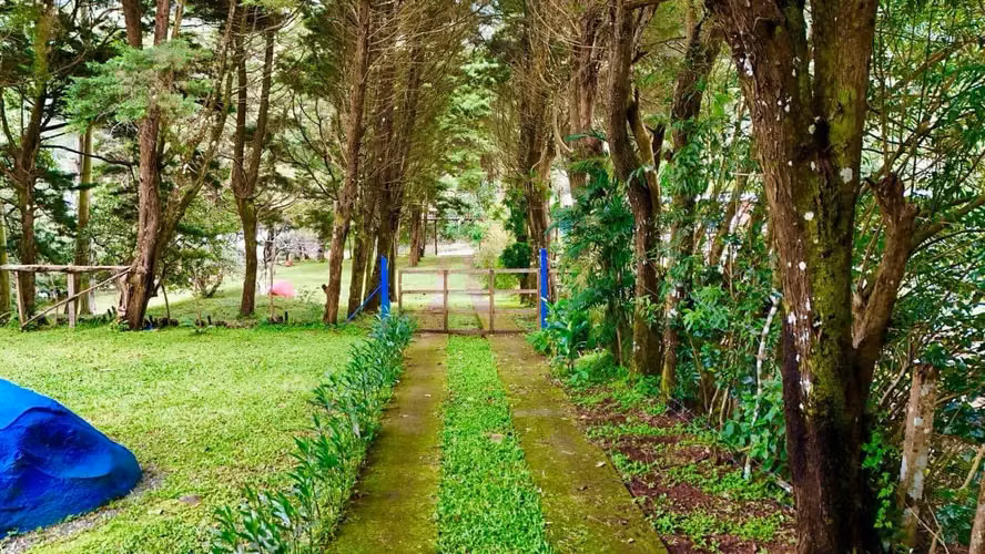Cabaña rodeada en naturaleza y cerca de la playa - Miramar, Puntarenas