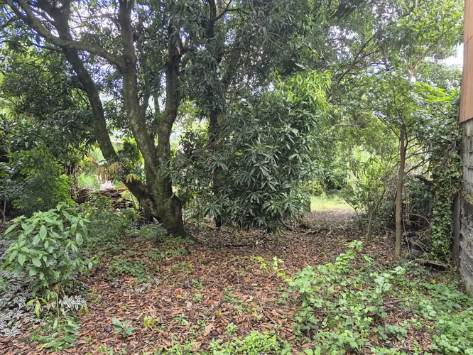 Venta de lote residencial y/o comercial en Tres Ríos - Imagen 8