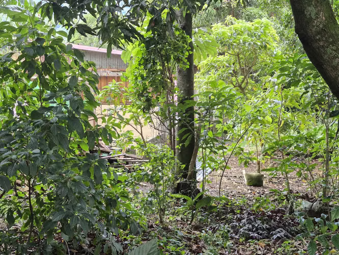 Venta de lote residencial y/o comercial en Tres Ríos - Imagen 12