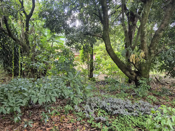 Venta de lote residencial y/o comercial en Tres Ríos - Imagen 7