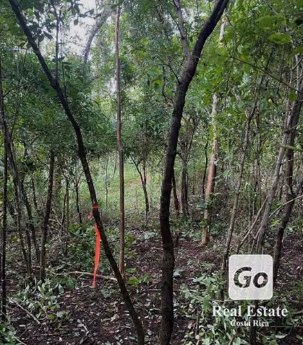 Oportunidad Venta de Lote en Ostional, Guanacaste
