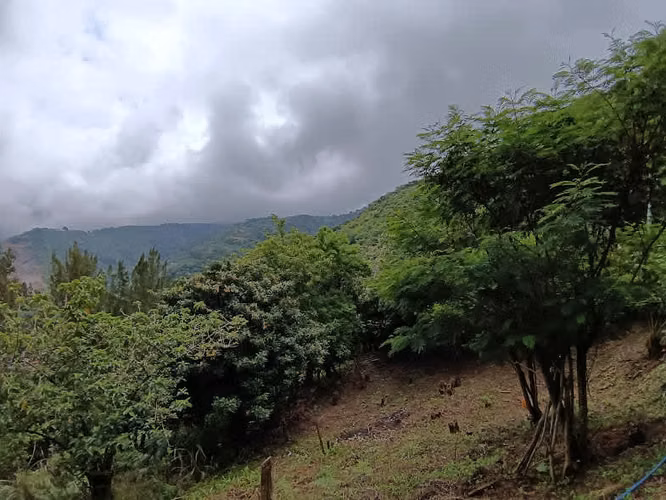Venta Aserri Cedral abajo