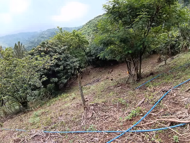 Venta Aserri Cedral abajo