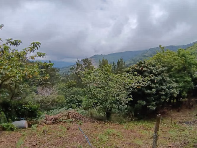 Venta Aserri Cedral abajo