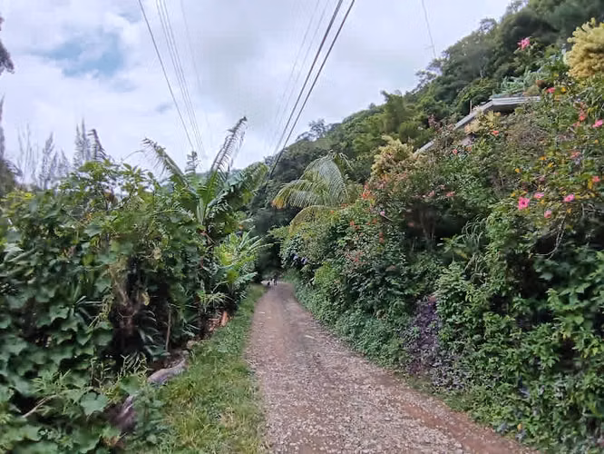 Venta Aserri Cedral abajo