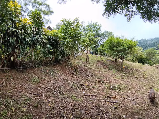 Venta Aserri Cedral abajo