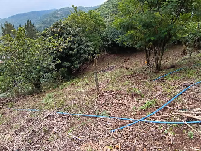 Venta Aserri Cedral abajo