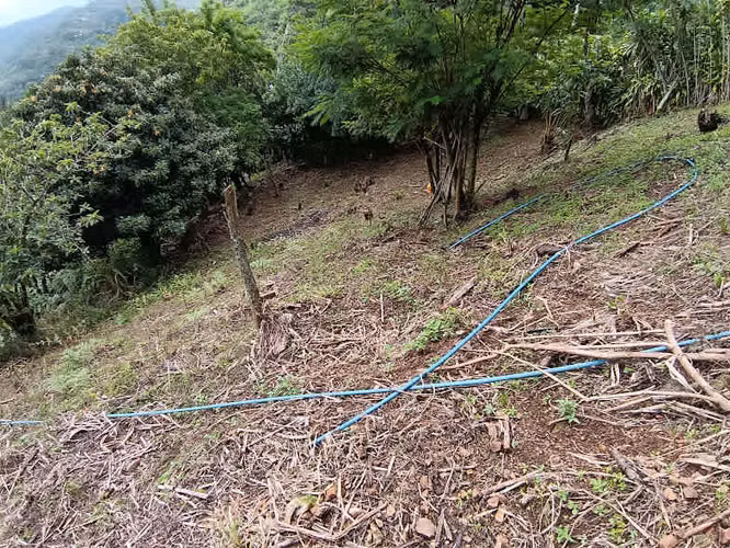 Venta Aserri Cedral abajo