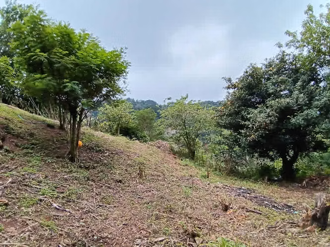 Venta Aserri Cedral abajo