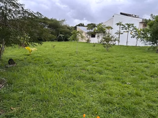 SE VENDE LOTE HABITACIONAL – Río Oro, Santa Ana | LH-219 - Imagen 4