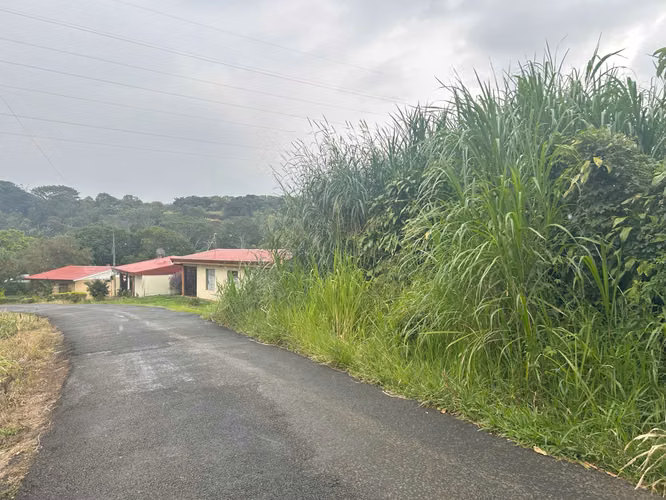 Tacares de Grecia, propiedad  para desarrollo residencial 350 unidades - Imagen 9
