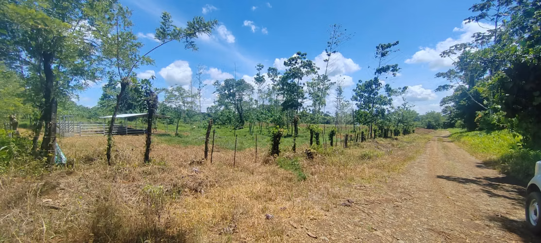 Se vende terreno en Guacimo
