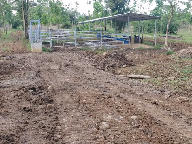 Se vende terreno en Guacimo