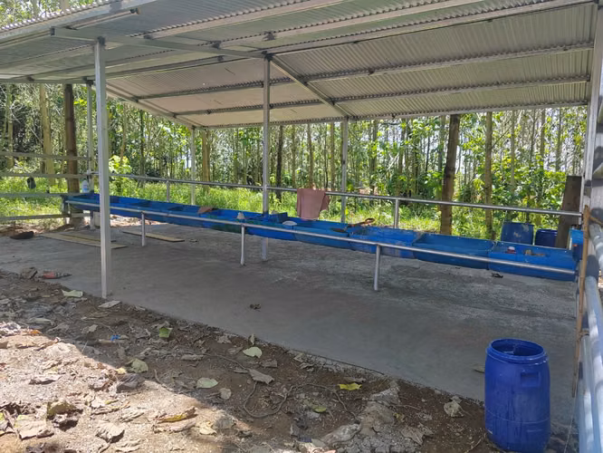Se vende terreno en Guacimo