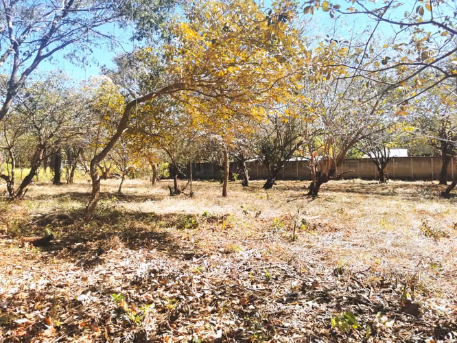 Venta de lote en Orotina 2.224 m2 - Imagen 4