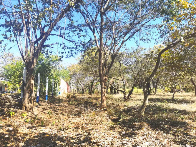 Venta de lote en Orotina 2.224 m2 - Imagen 5