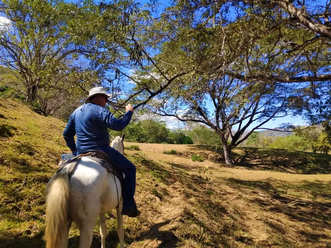 63 hectáreas de Producción Agrícola y Ganadera en Península de Nicoya - Imagen 5