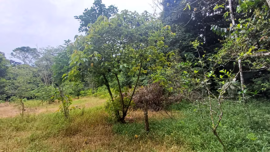 Terreno de oportunidad - Imagen 18