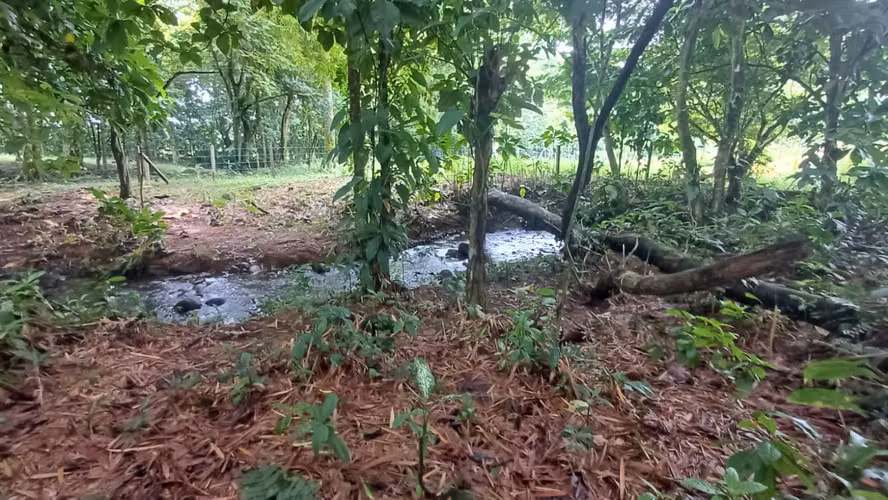 Terreno de oportunidad - Imagen 14