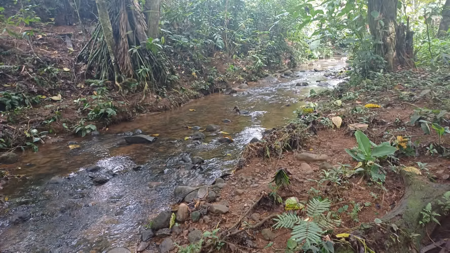 Terreno de oportunidad - Imagen 13