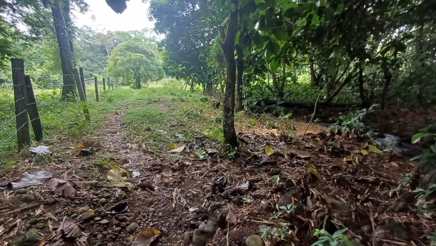 Terreno de oportunidad - Imagen 9
