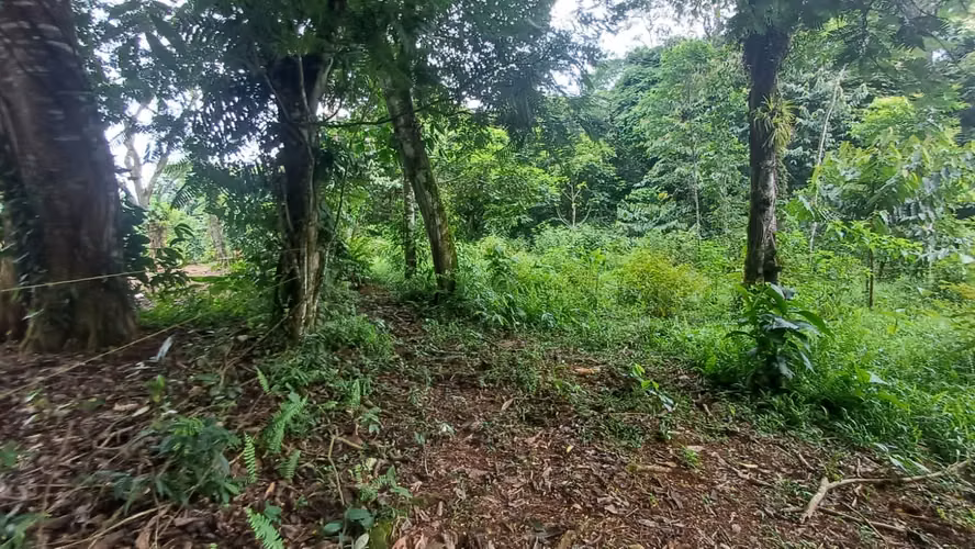 Terreno de oportunidad - Imagen 17