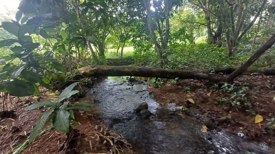 Terreno de oportunidad - Imagen 19
