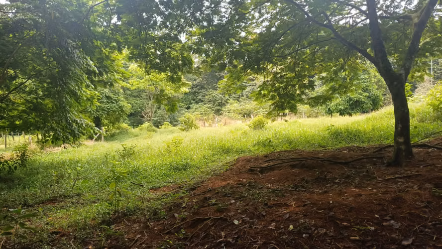 Terreno de oportunidad - Imagen 5
