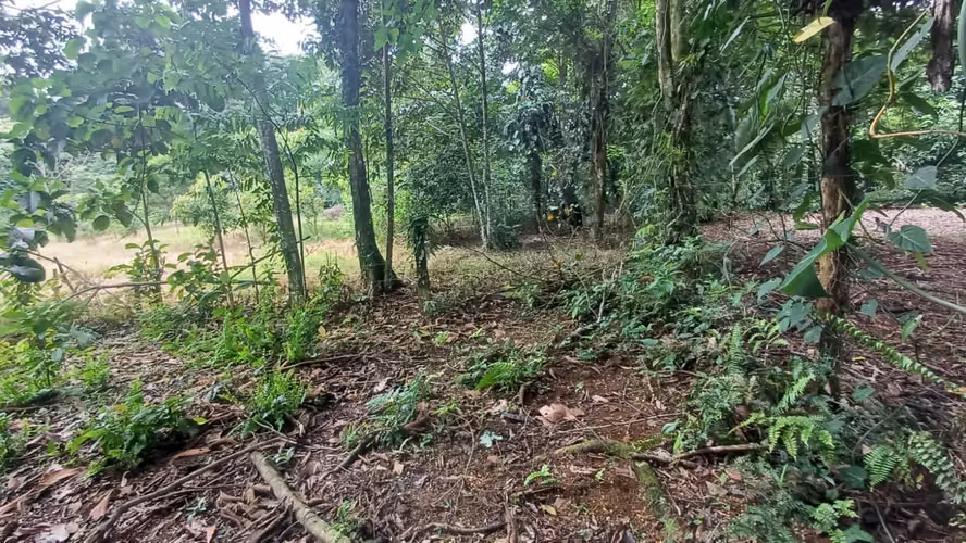 Terreno de oportunidad - Imagen 11