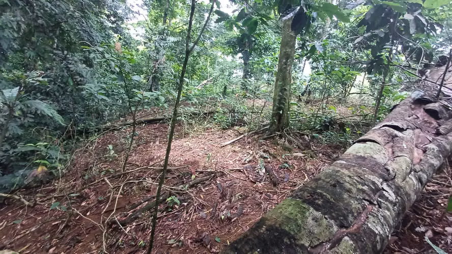 Terreno de oportunidad - Imagen 15