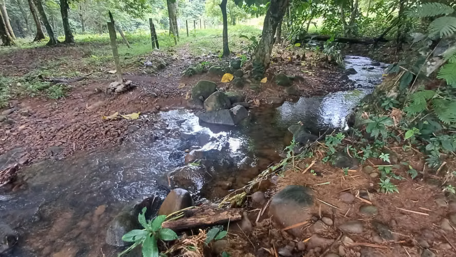 Terreno de oportunidad - Imagen 6