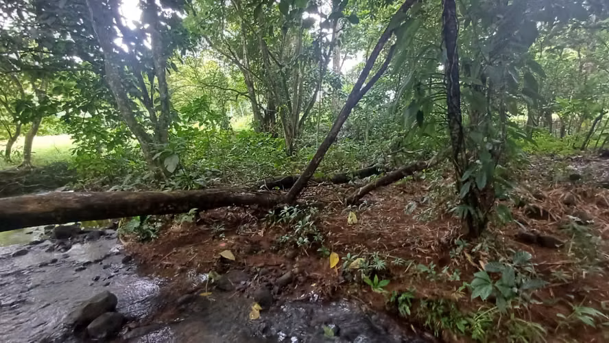 Terreno de oportunidad - Imagen 16