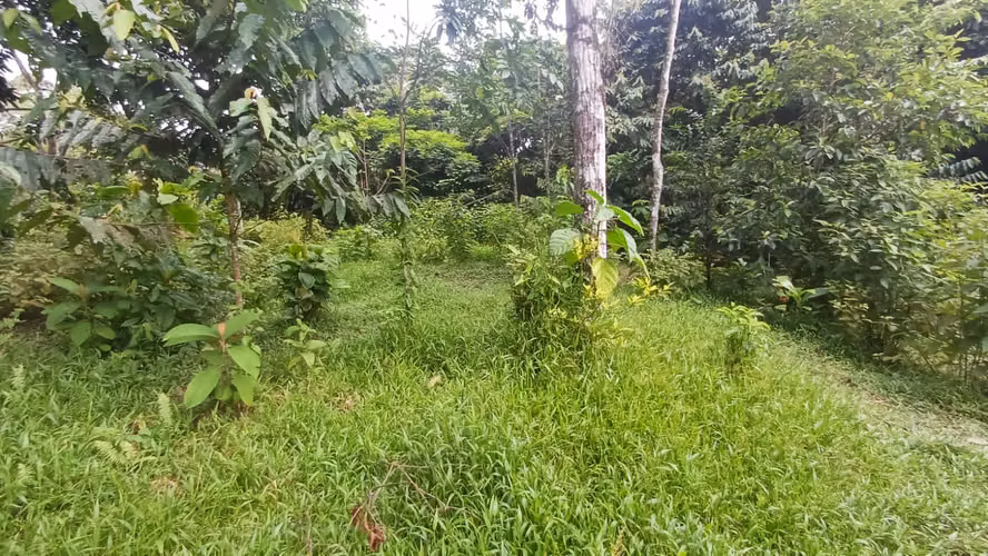 Terreno de oportunidad - Imagen 4