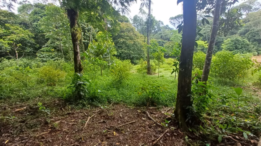 Terreno de oportunidad - Imagen 8