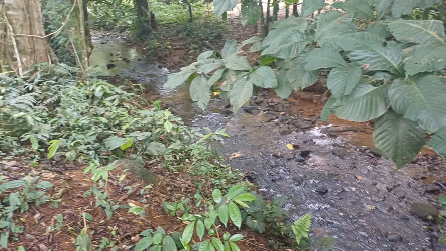 Terreno de oportunidad - Imagen 2