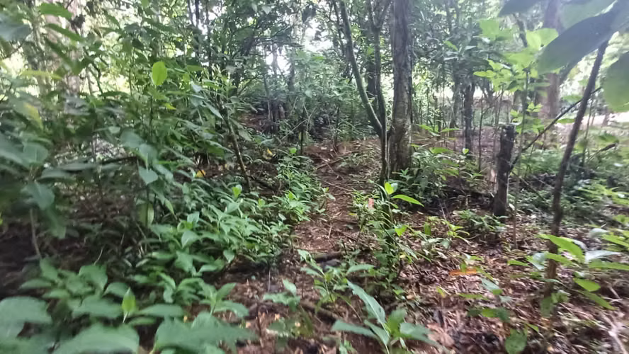 Terreno de oportunidad - Imagen 7
