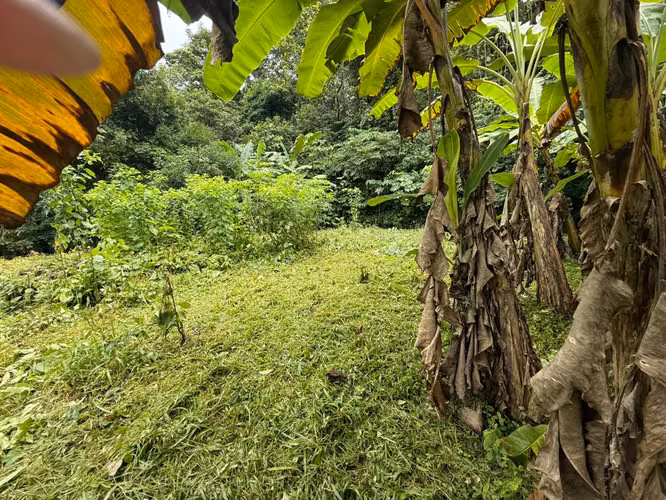 Terreno con casa en San Juan de Turrubares - Imagen 14
