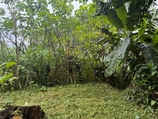 Terreno con casa en San Juan de Turrubares - Imagen 19