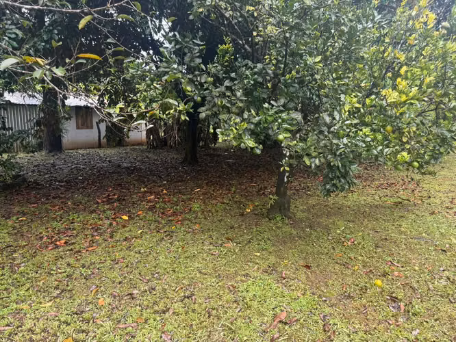 Terreno con casa en San Juan de Turrubares - Imagen 6