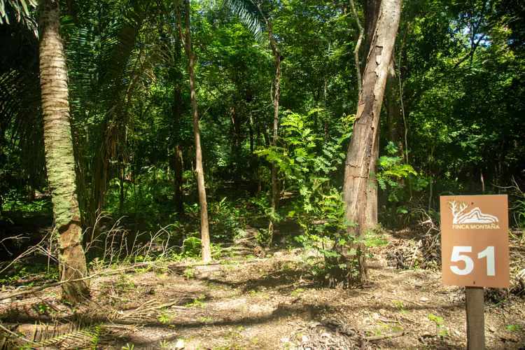 VENTA LOTE - Nosara $280,000 USD