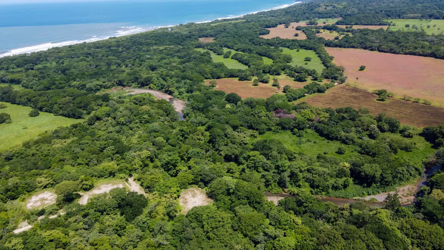 VENTA LOTE - Nosara $280,000 USD