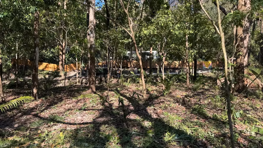 VENTA LOTE - Nosara $280,000 USD
